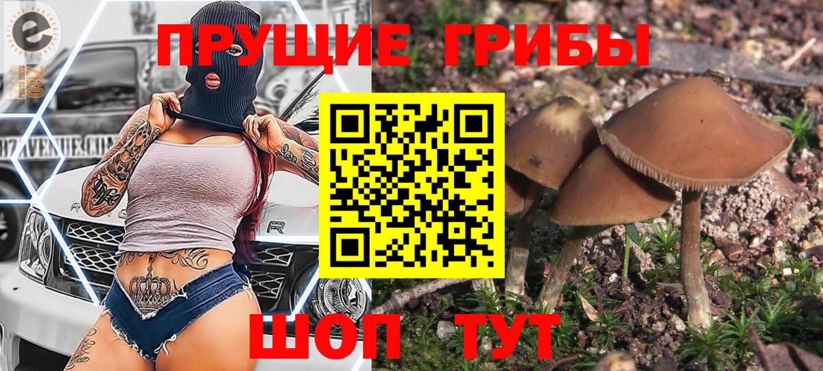 Ейск  Псилоцибиновые грибы MAGIC MUSHROOMS  Вход с VPN  Псилоцибиновые грибы MAGIC MUSHROOMS 