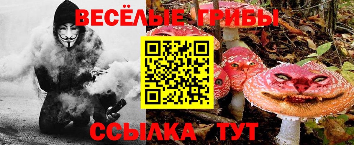 Галлюциногенные грибы прущие грибы Ейск